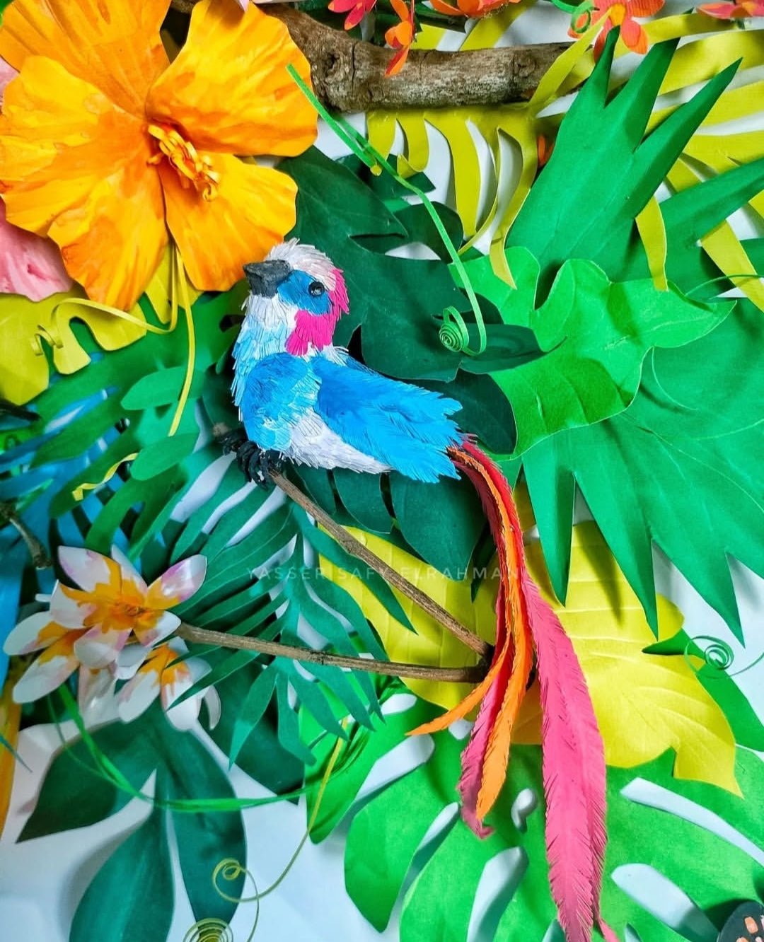 Colorful artwork featuring tropical birds from Aden in Yasser Safy Elrahman's birdwatching guide illustration.