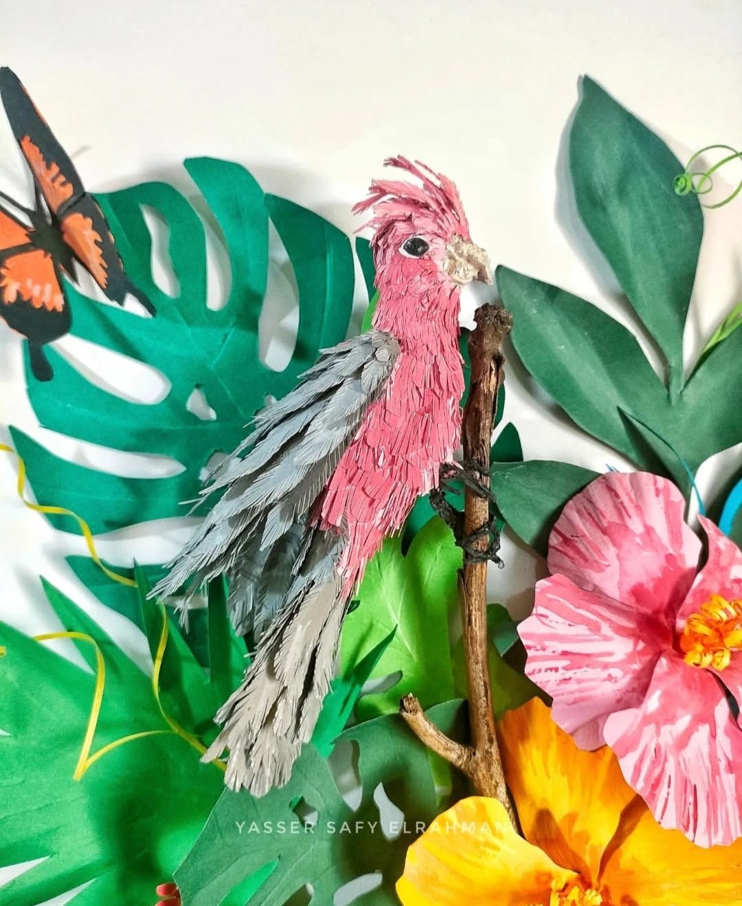Colorful artwork of tropical birds in Aden, part of the Aden Tropical Birdwatching Guide by Yasser Safy Elrahman.