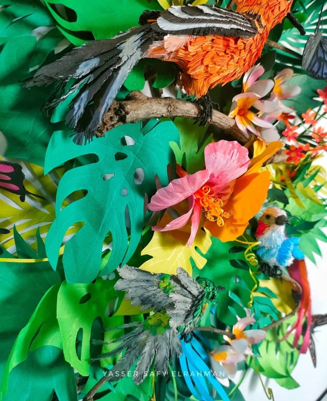 Colorful artwork of tropical birds from Aden by Yasser Safy Elrahman, showcasing vibrant bird species in a detailed tropical scene.