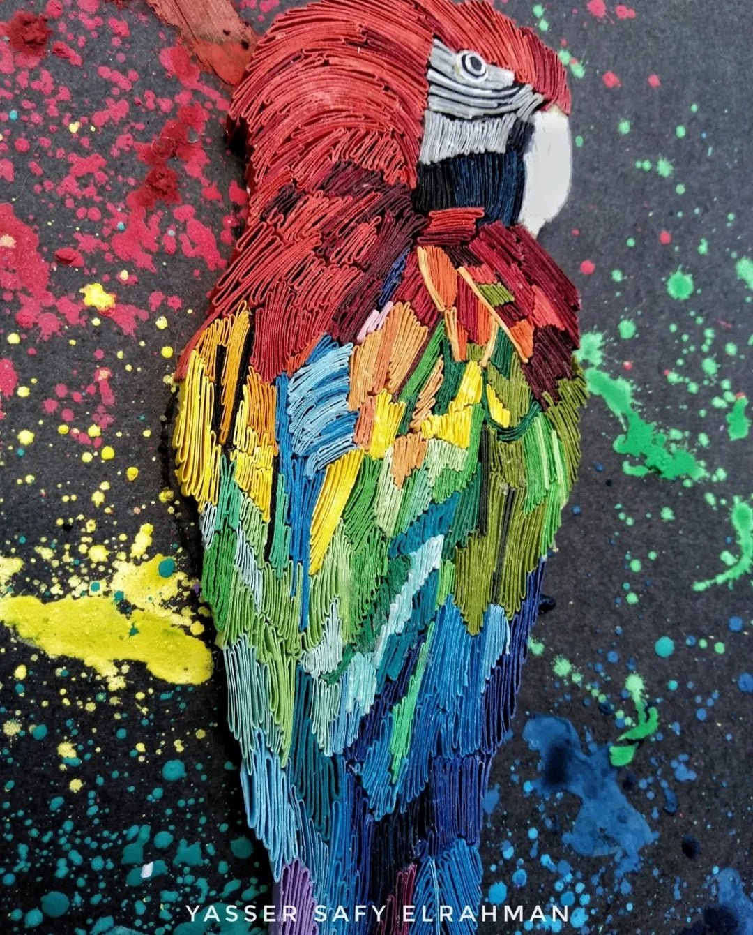 Colorful artwork titled "Pappagallino: The Spirit of the Tropics" by Yasser Safy Elrahman, featuring vibrant tropical bird imagery.