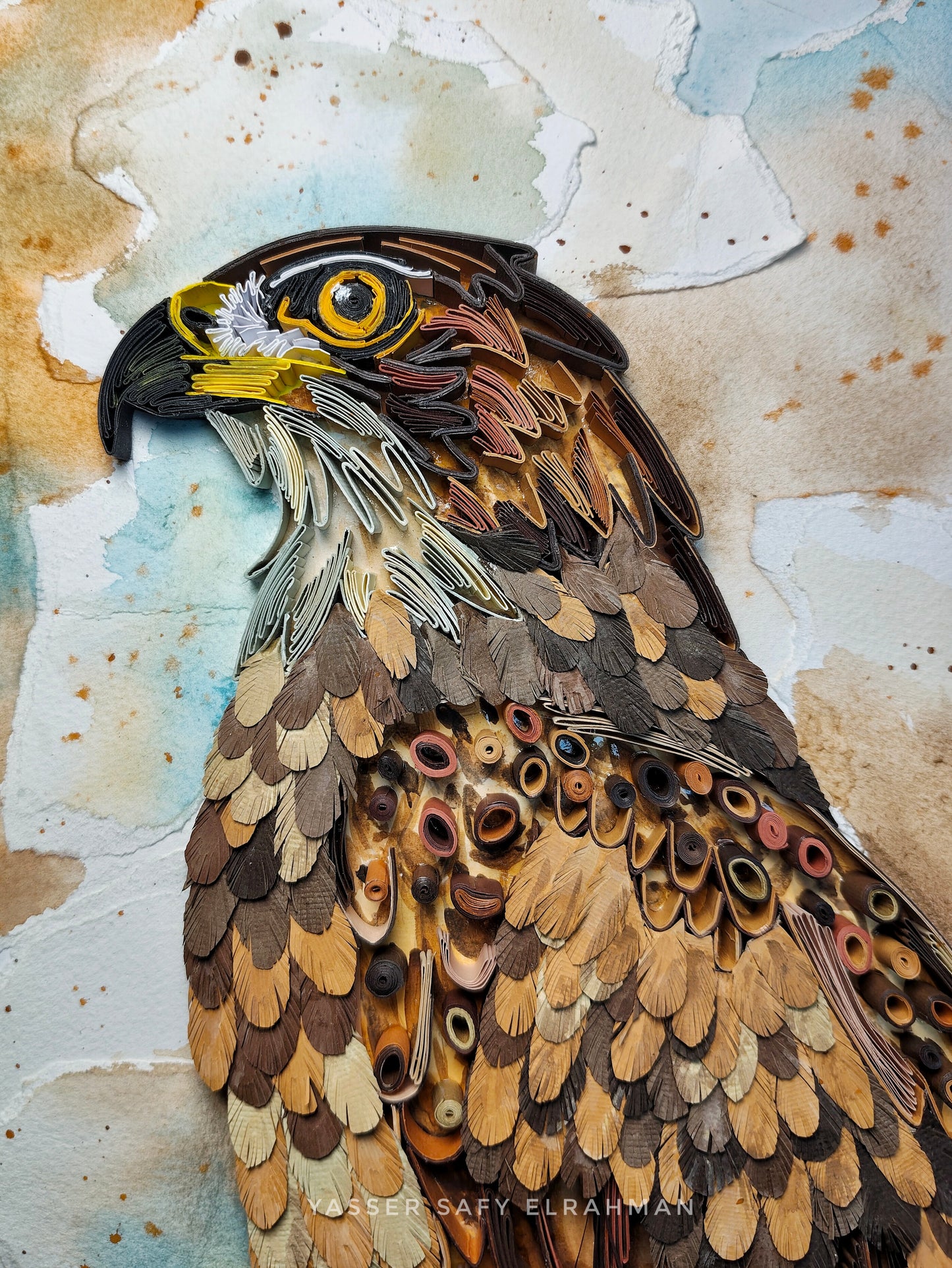 Apex Precision: The Peregrine Falcon