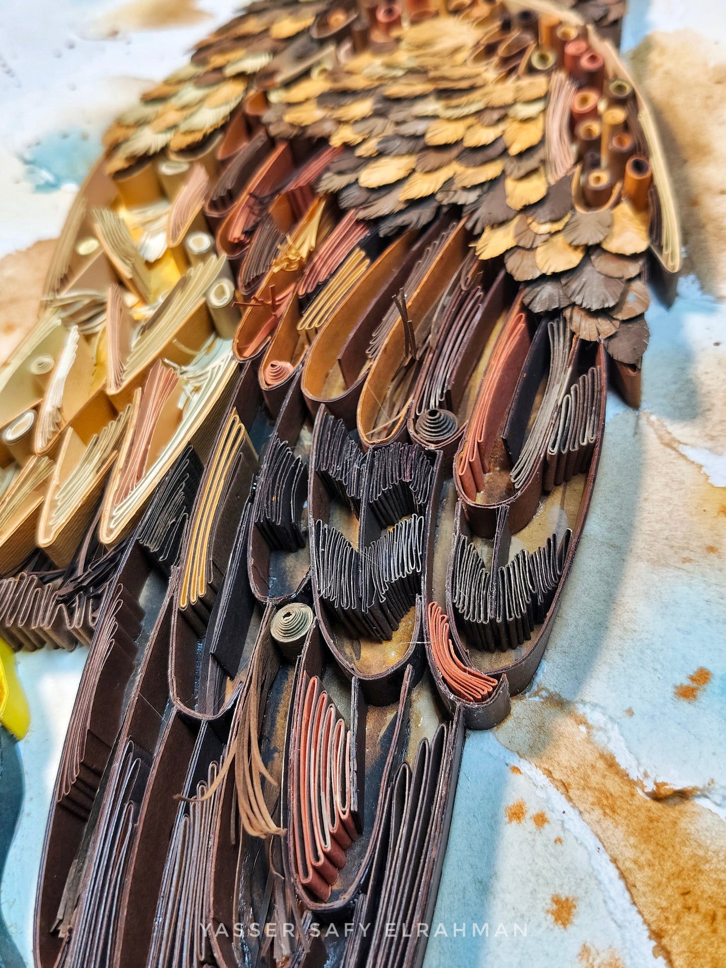 Apex Precision: The Peregrine Falcon