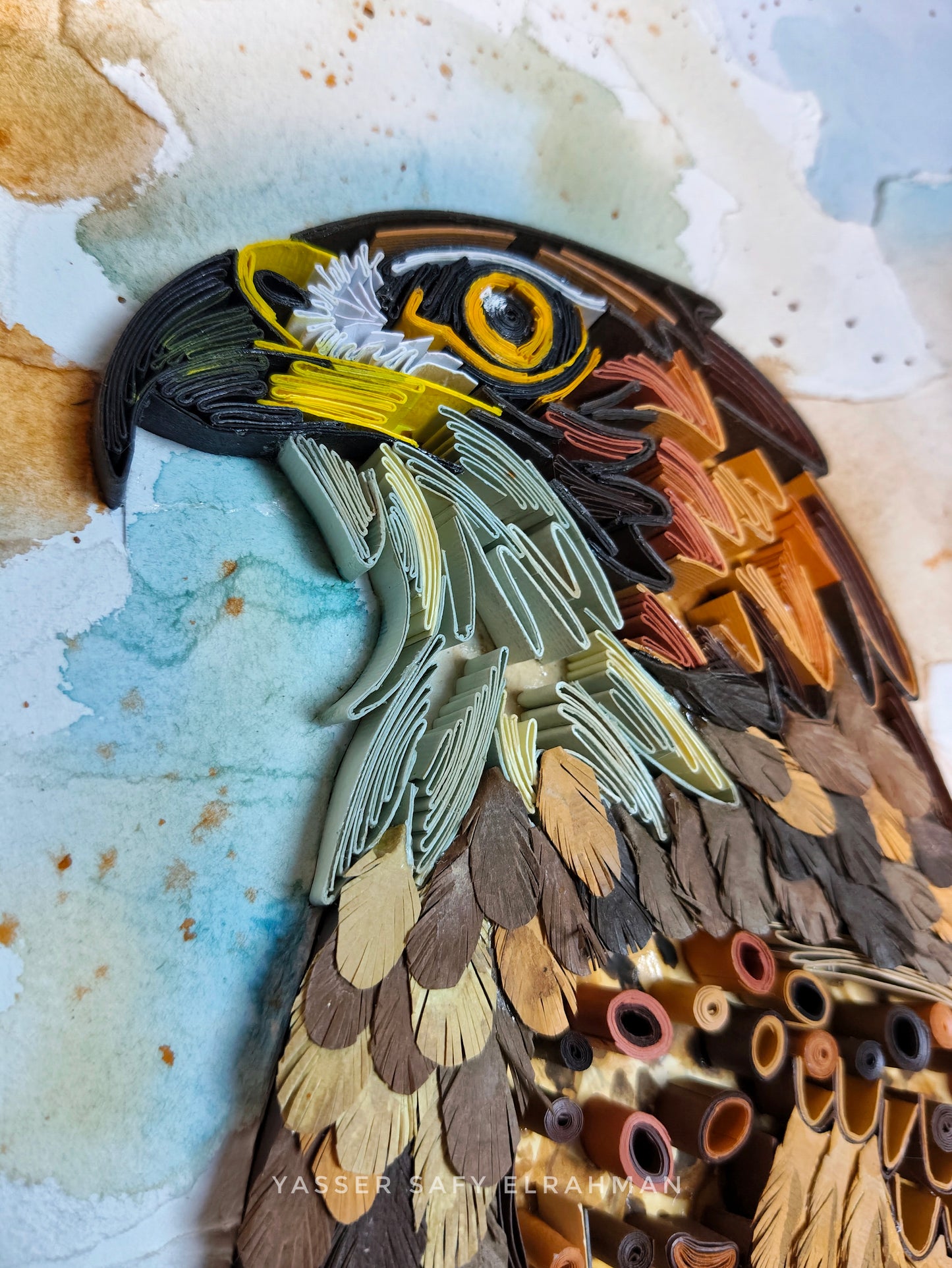 Apex Precision: The Peregrine Falcon