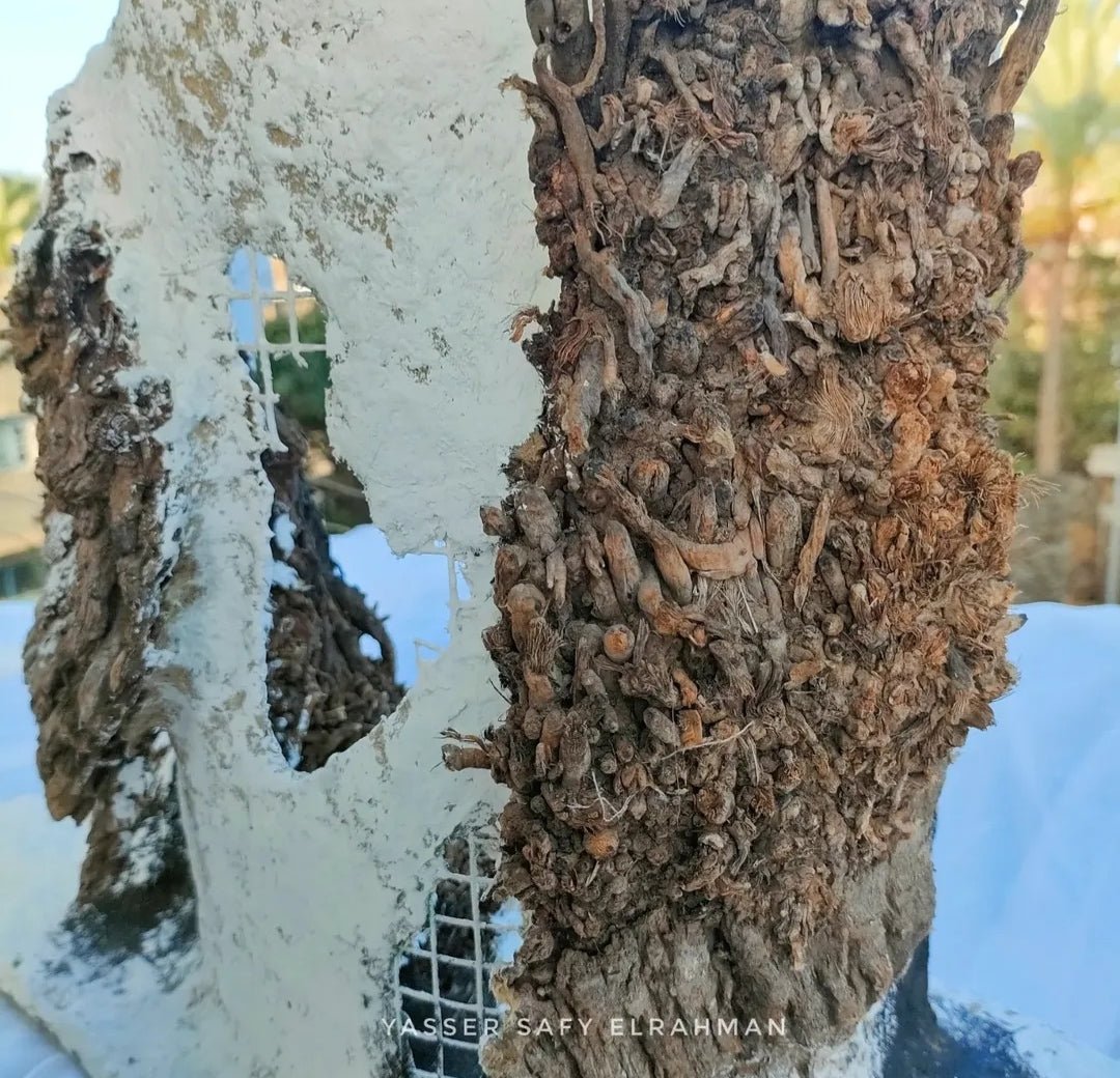 Yasser Safy Elrahman sculpture titled The Revival: Awakening the Revolution, detailed artistic metal sculpture with dynamic design
